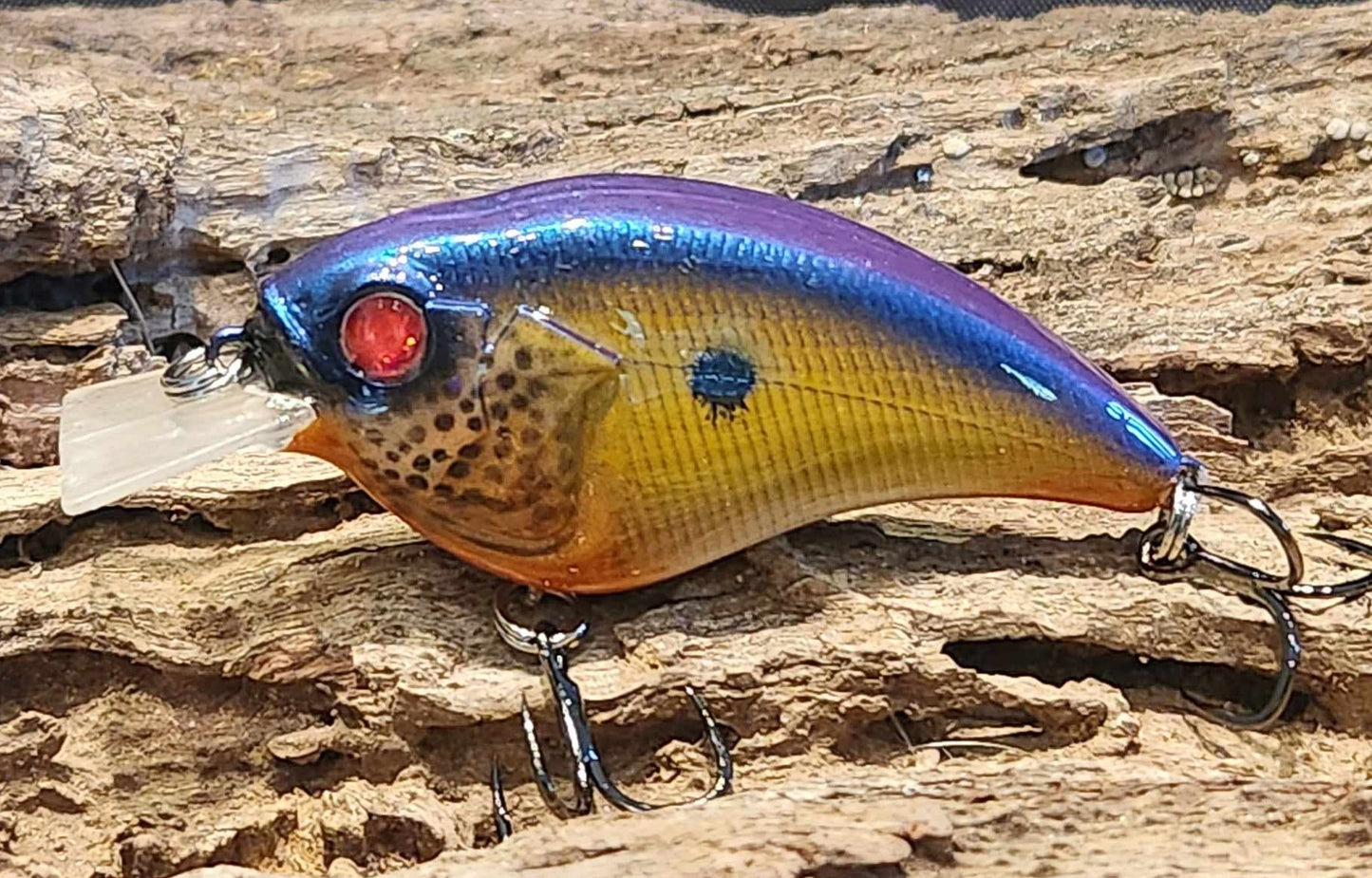 Megabass Sonicside ko. Clearance