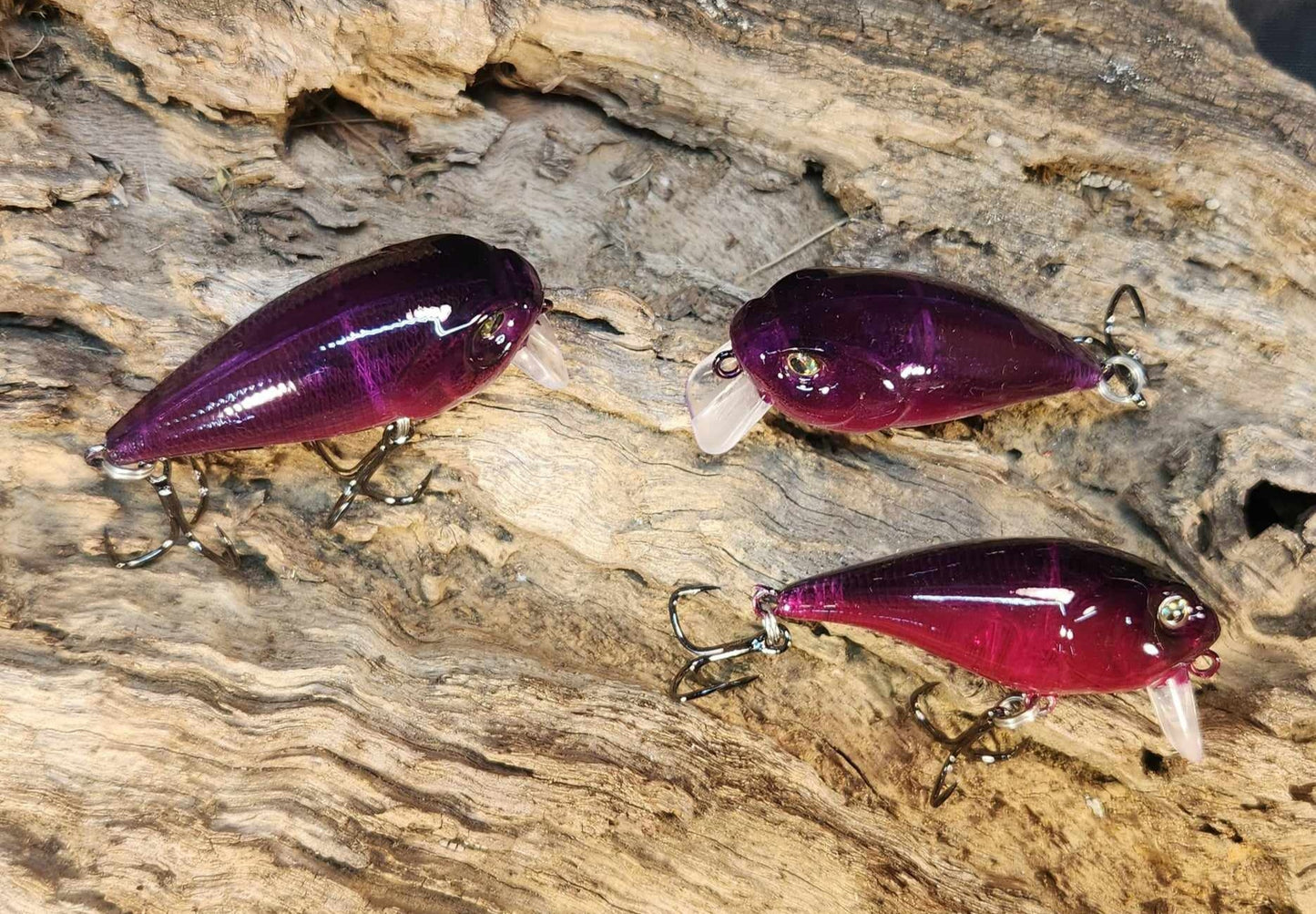 Twelve Oaks Signature Wake