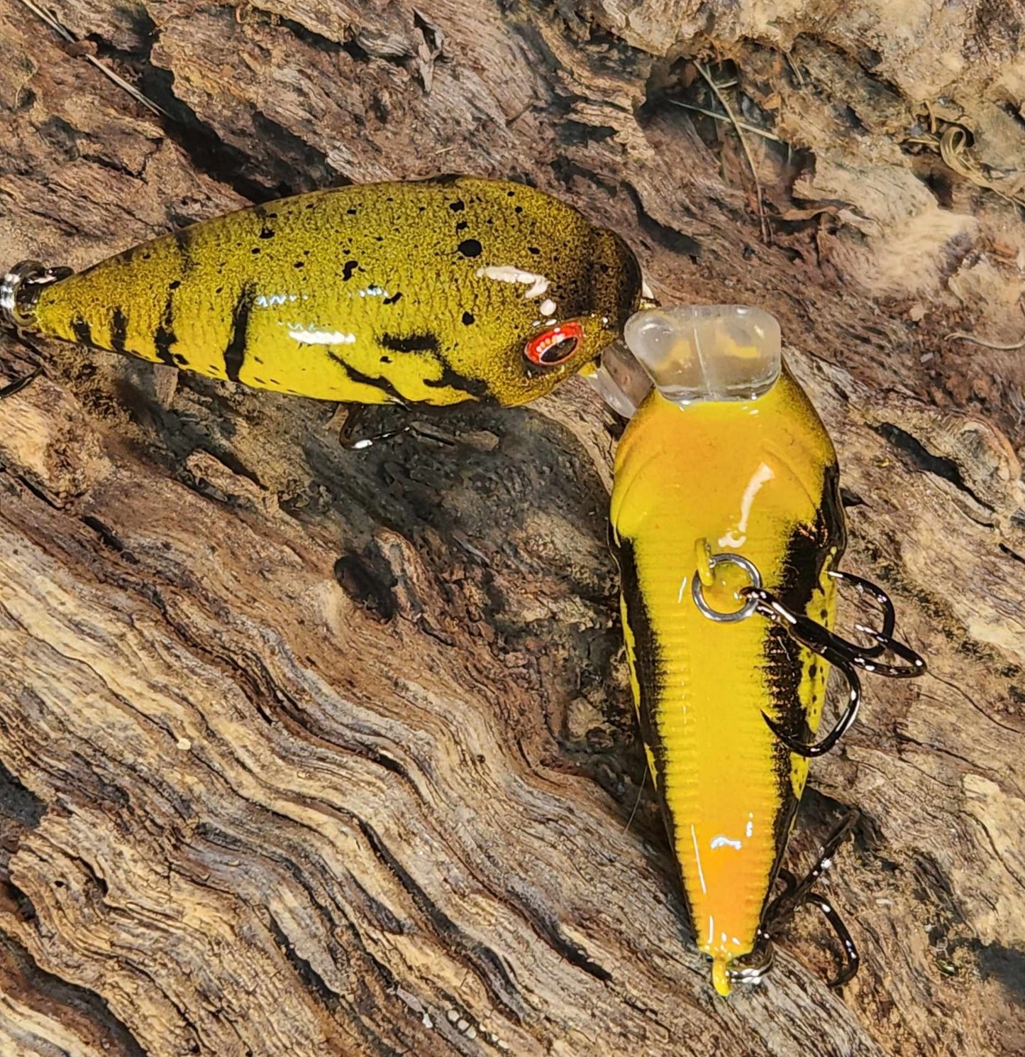 Twelve Oaks Signature Wake