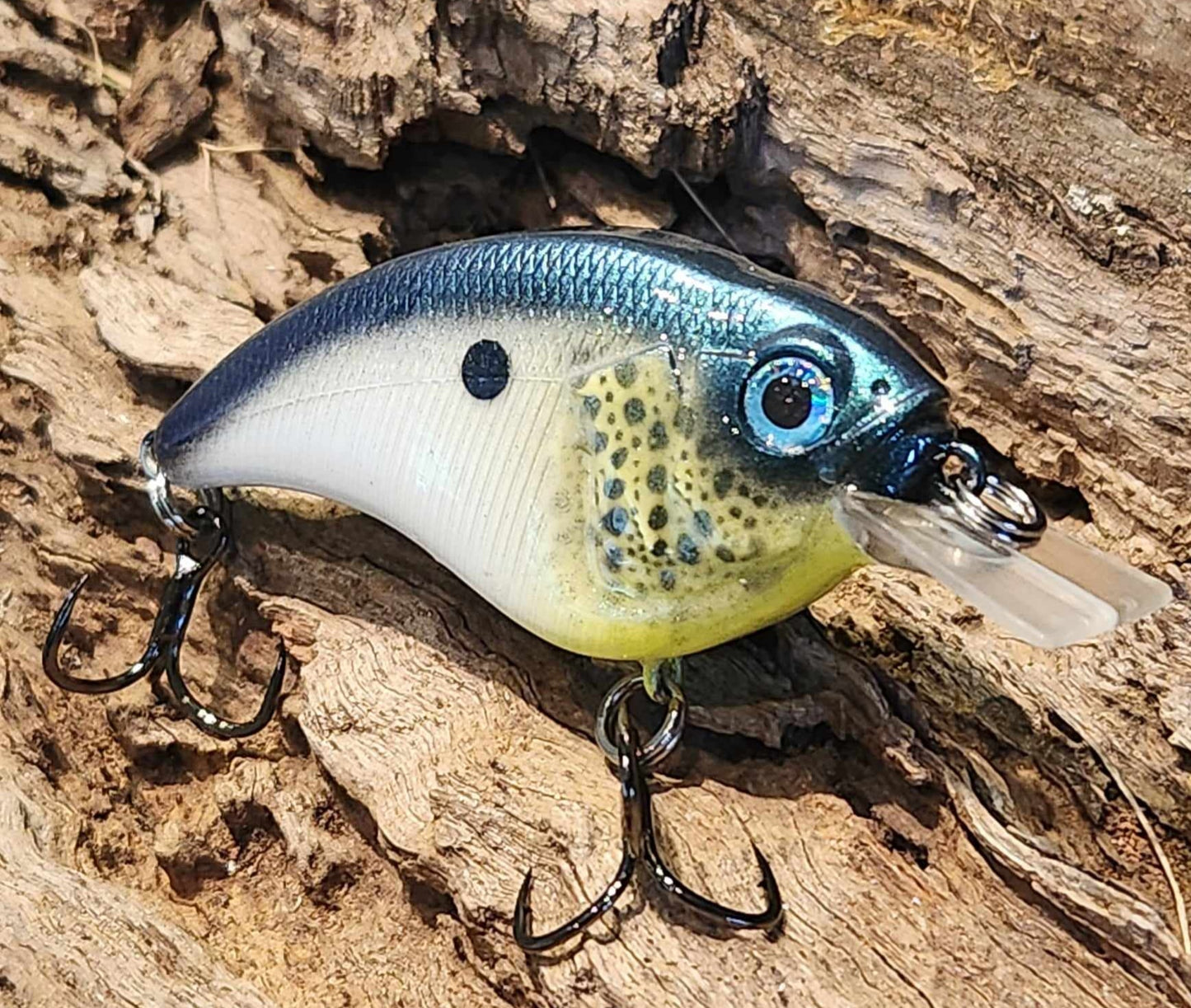Megabass Sonicside ko. Clearance