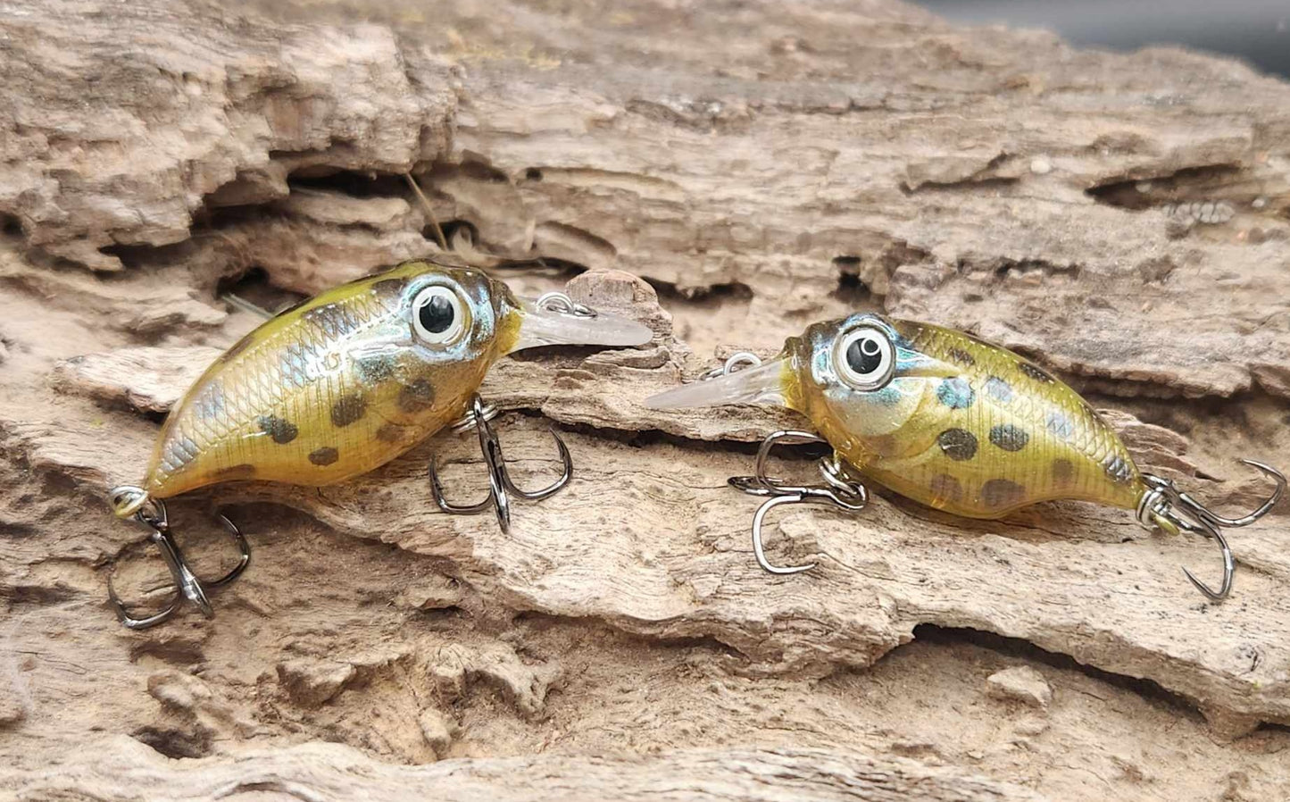 Megabass Griffon BFS ko