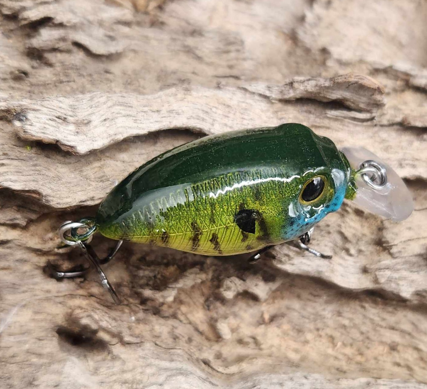 Megabass Griffon BFS