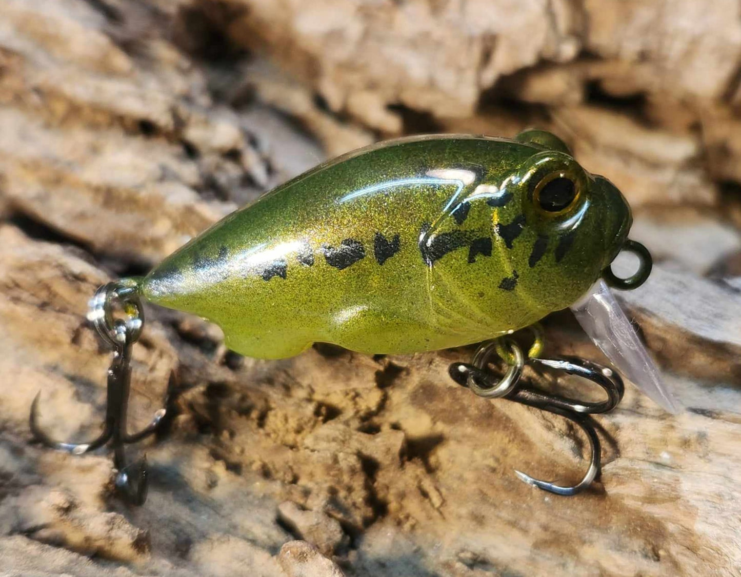 Megabass Griffon Zero BFS ko⁷