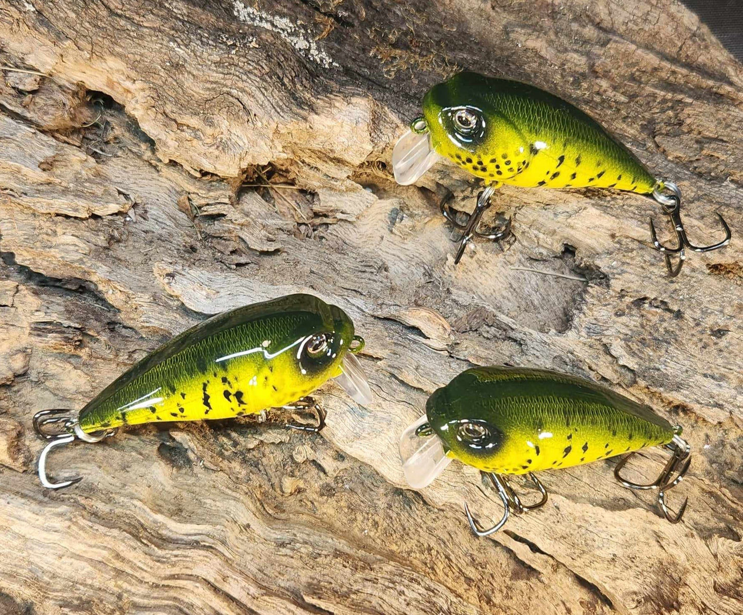 Twelve Oaks Signature Wake