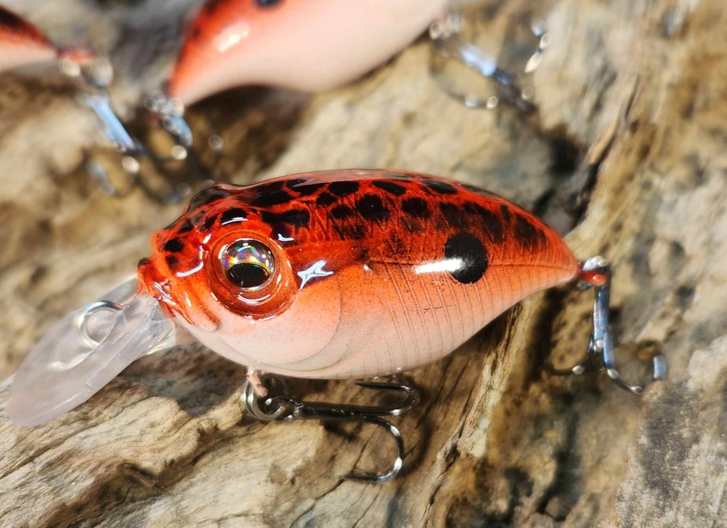 Megabass Griffon BFS ko