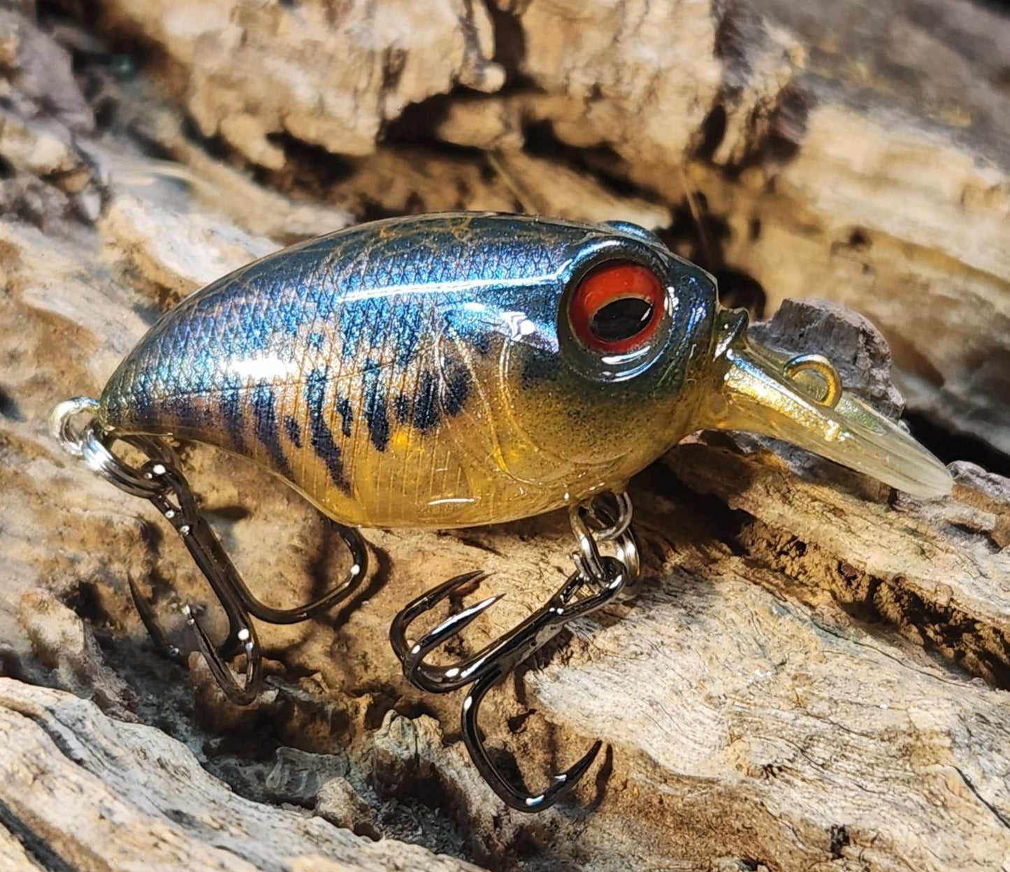 Megabass Griffon ko
