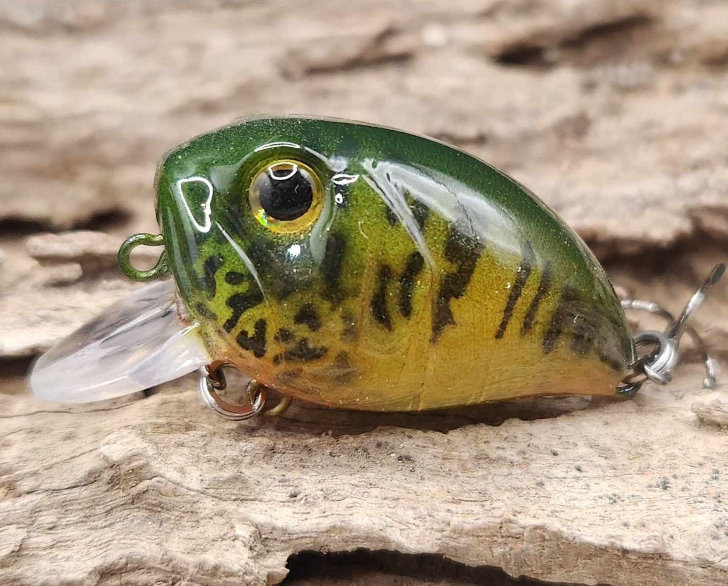 Chubby Crankbait/Wakebait BFS
