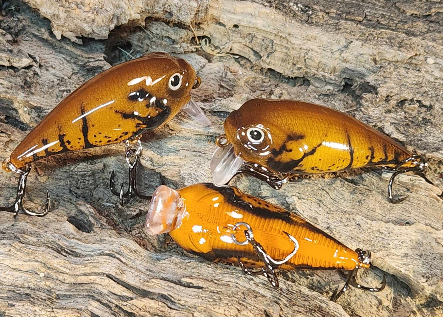 Twelve Oaks Signature Wake