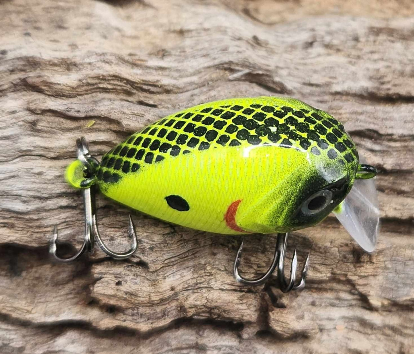 Mini Bubble Wake BFS