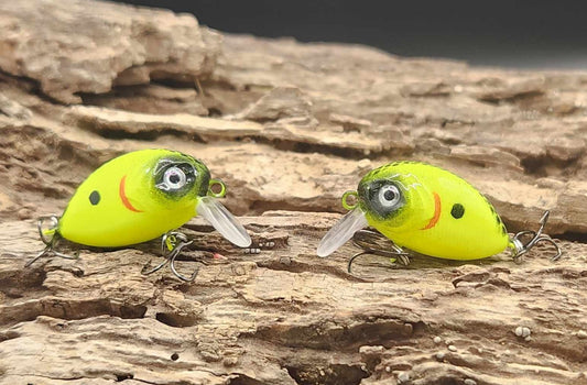 Mini Bubble Wake BFS