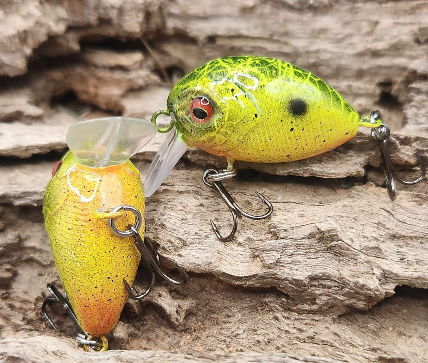Mini Bubble Wake BFS