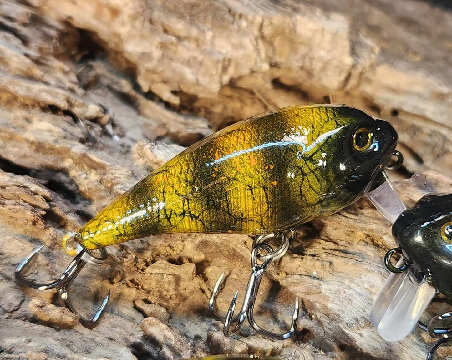 Twelve Oaks Signature Wake