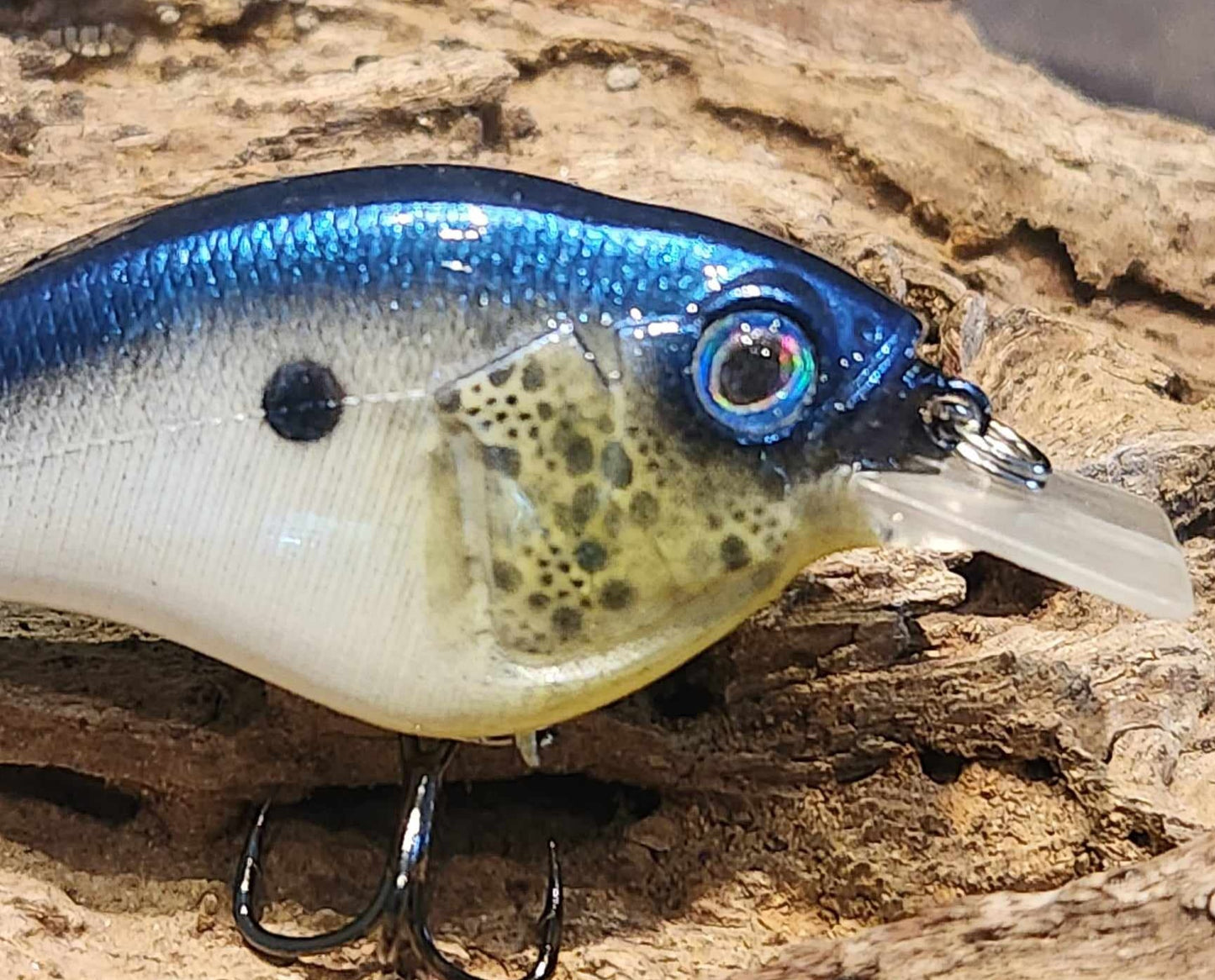 Megabass Sonicside ko. Clearance
