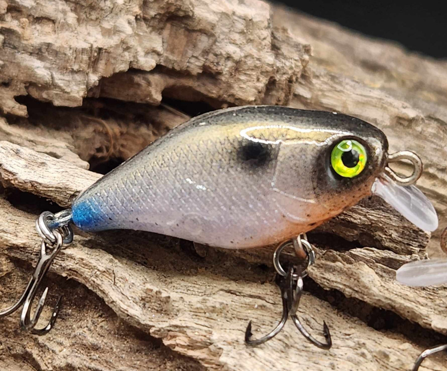 Jackall Chubby 38 ko BFS