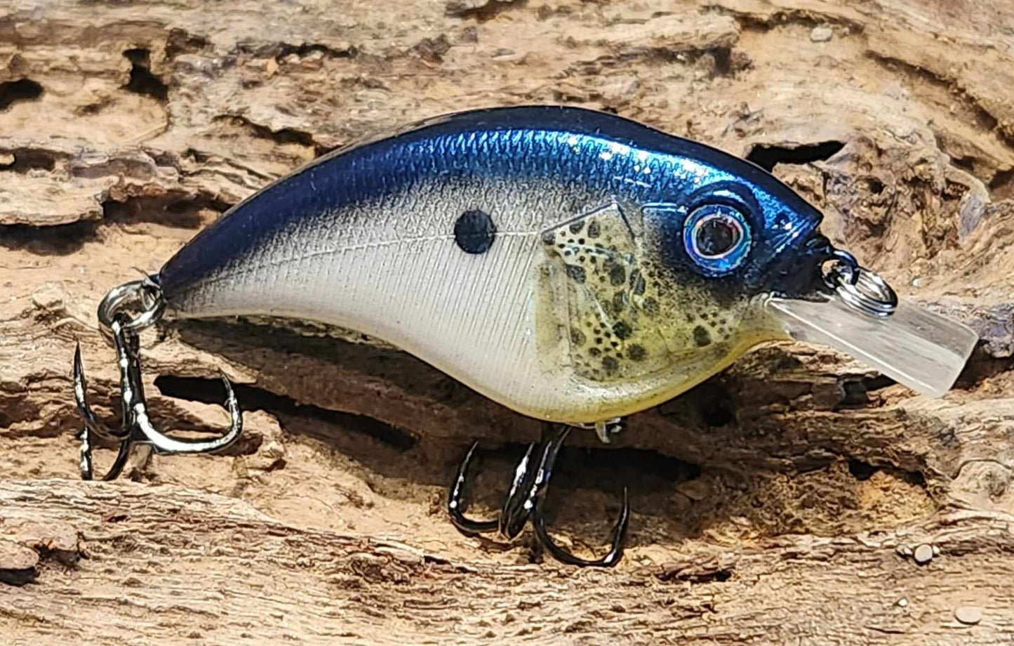 Megabass Sonicside ko. Clearance