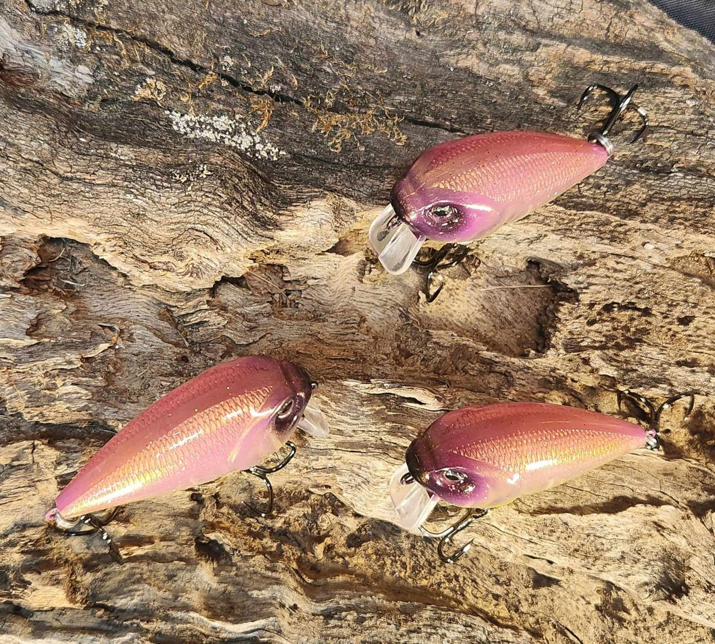 Twelve Oaks Signature Wake