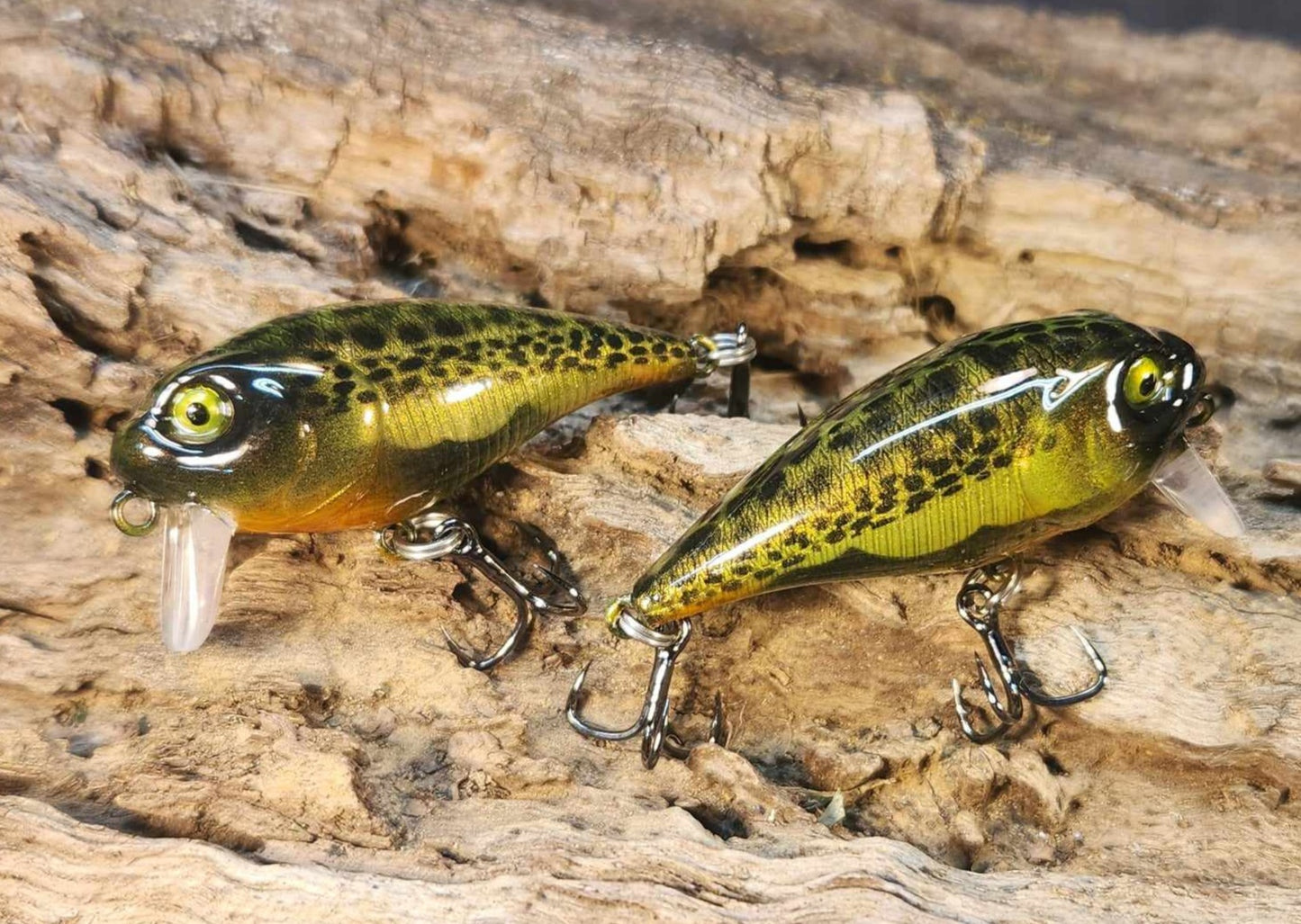 Twelve Oaks Signature Wake