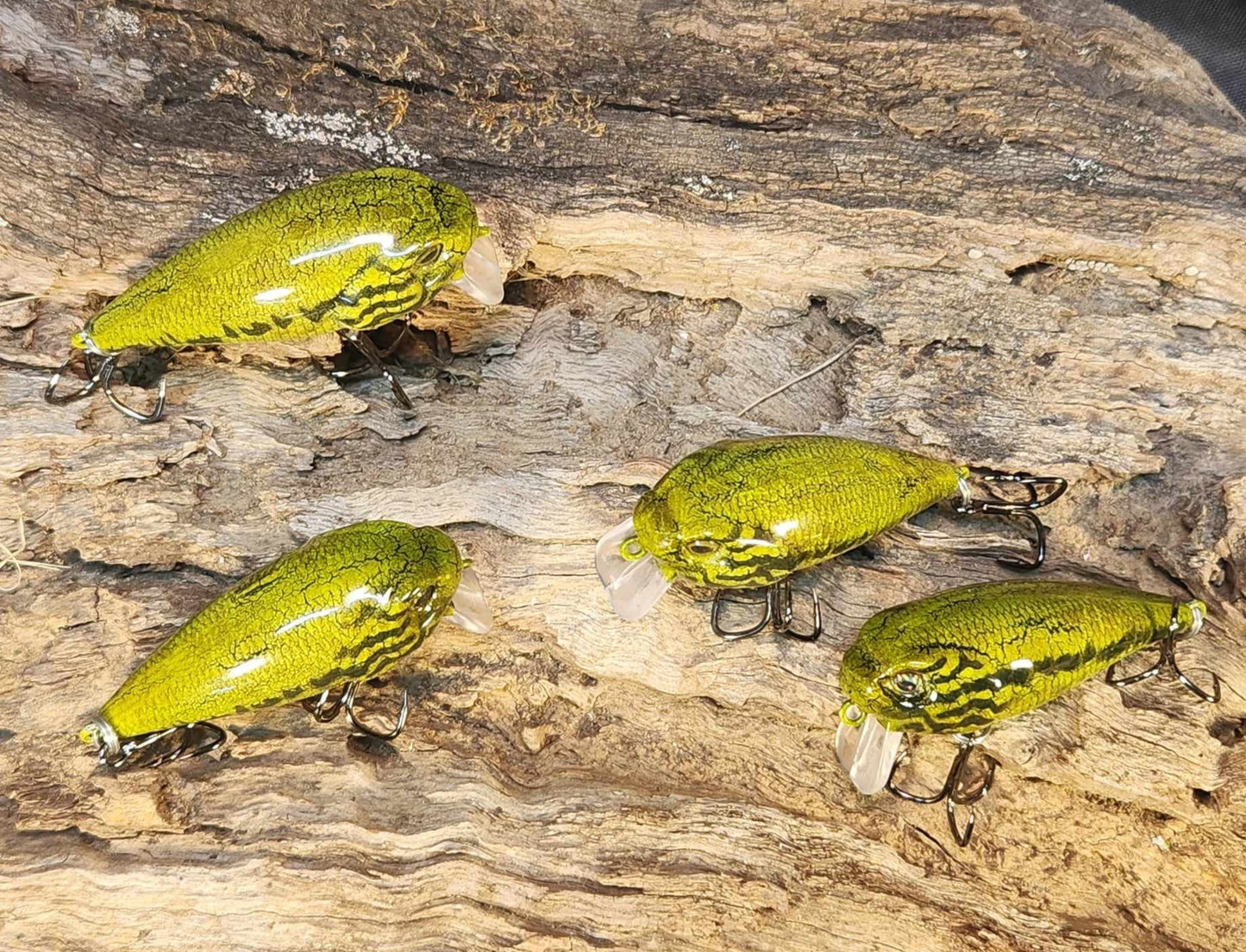 Twelve Oaks Signature Wake