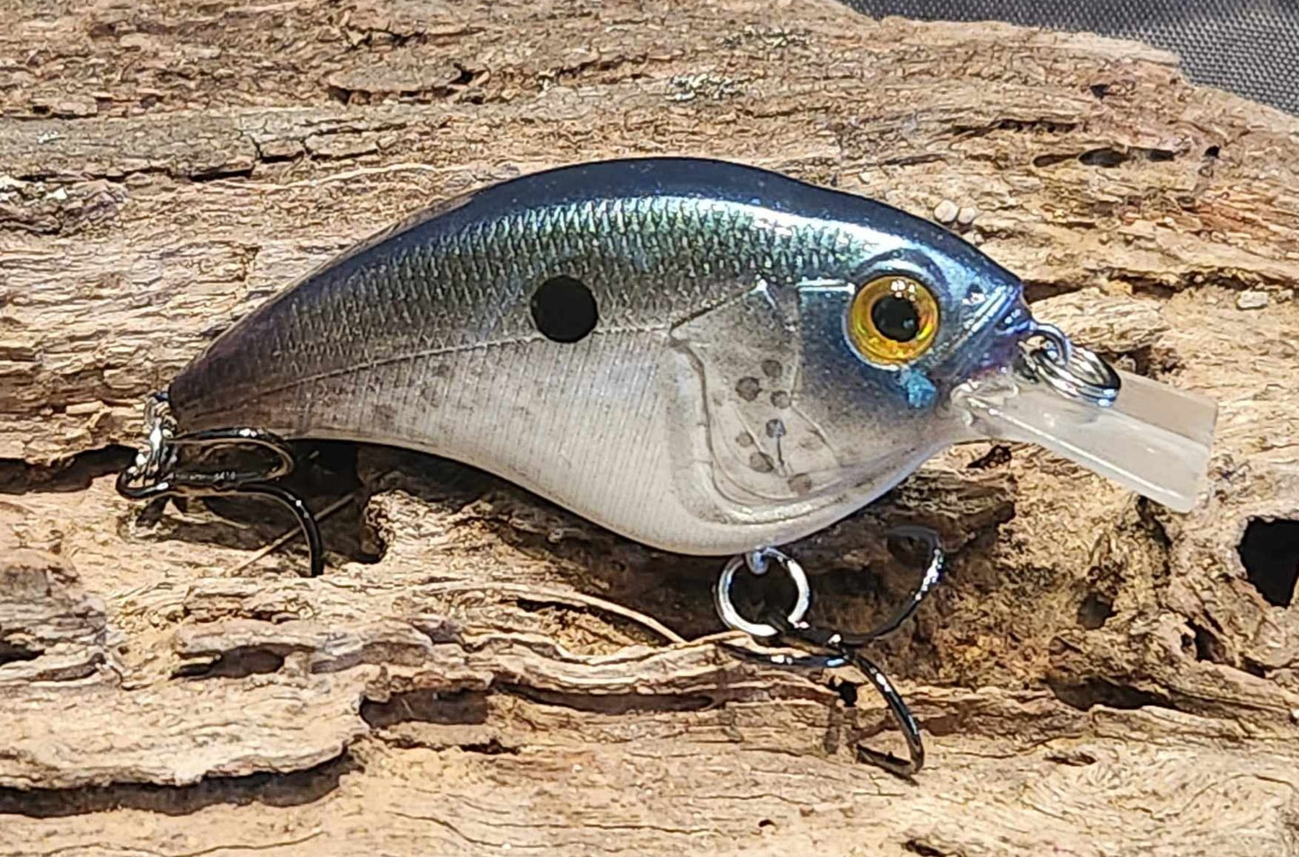 Megabass Sonicside ko. Clearance