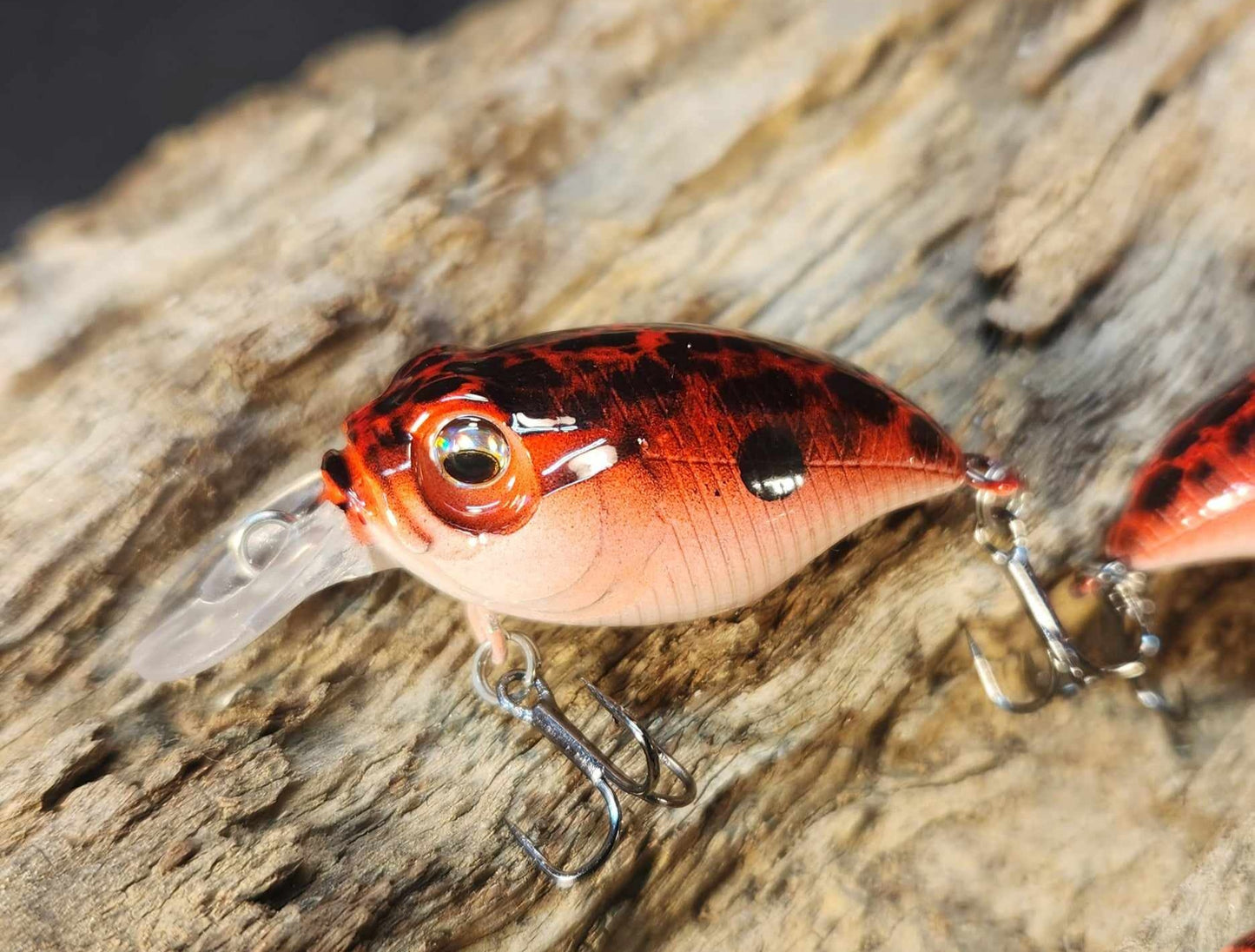 Megabass Griffon BFS ko