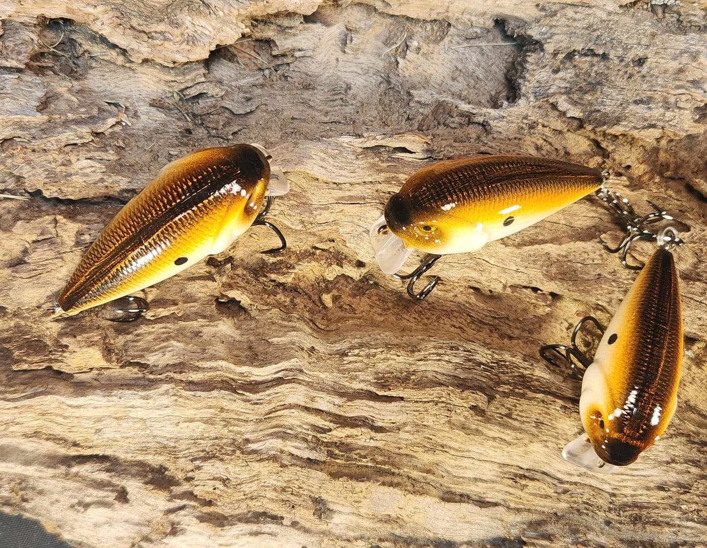 Twelve Oaks Signature Wake