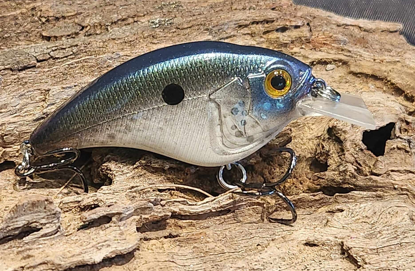 Megabass Sonicside ko. Clearance