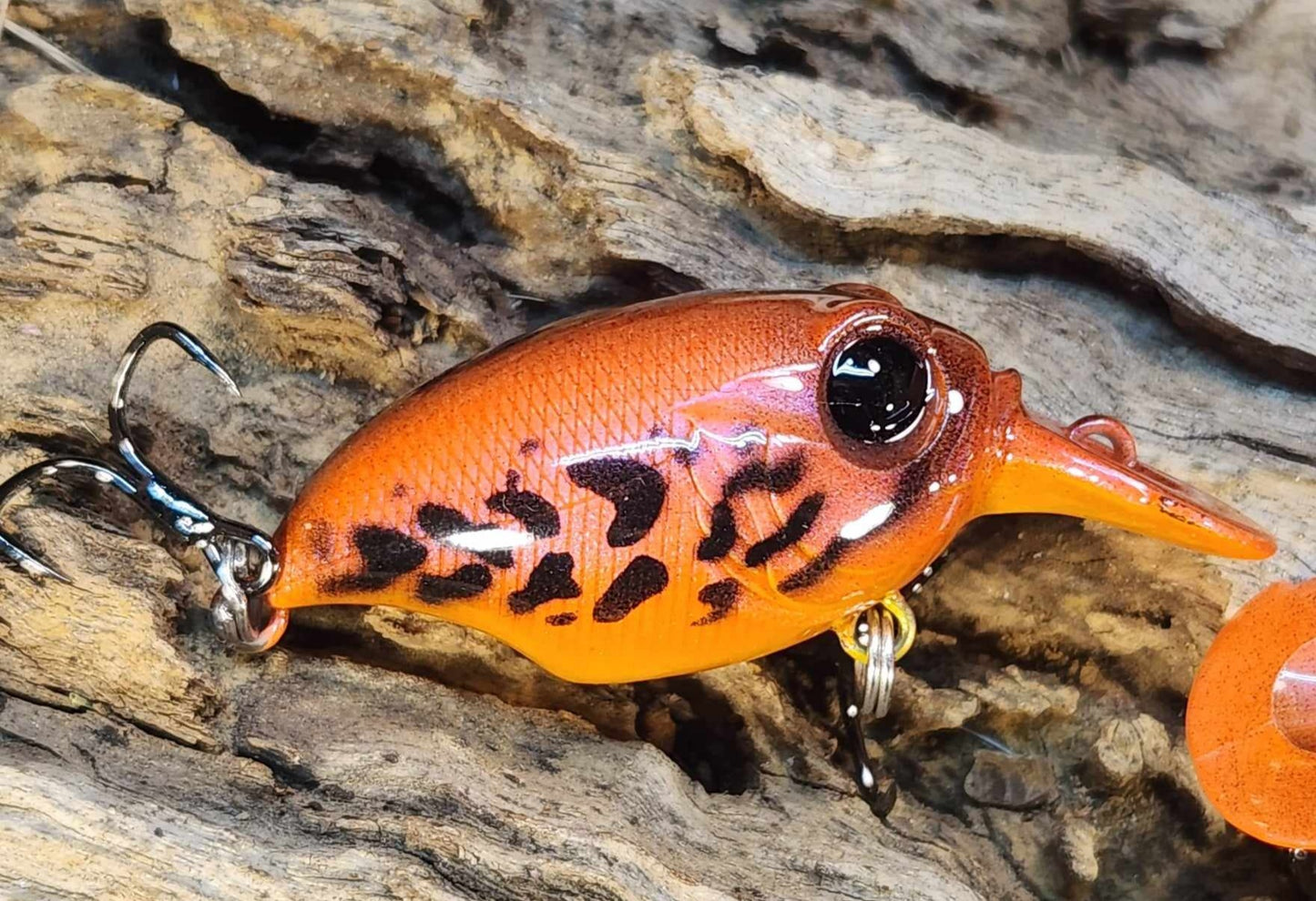 Megabass Griffon ko