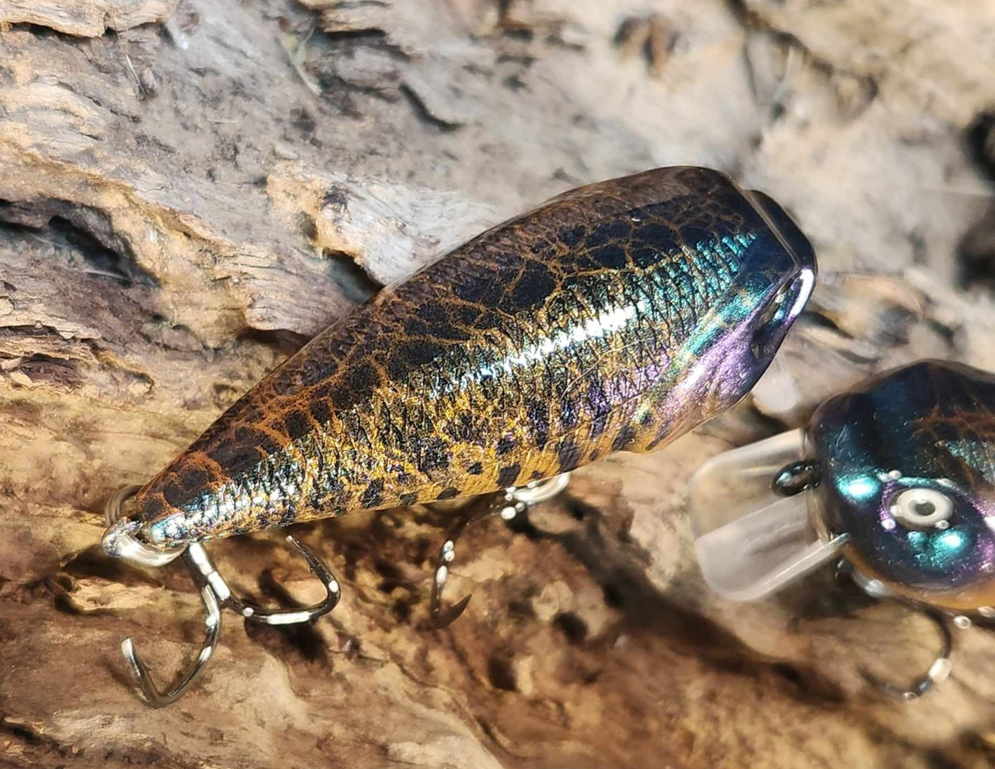 Twelve Oaks Signature Wake