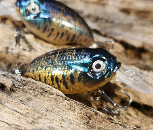 Megabass Griffon BFS ko