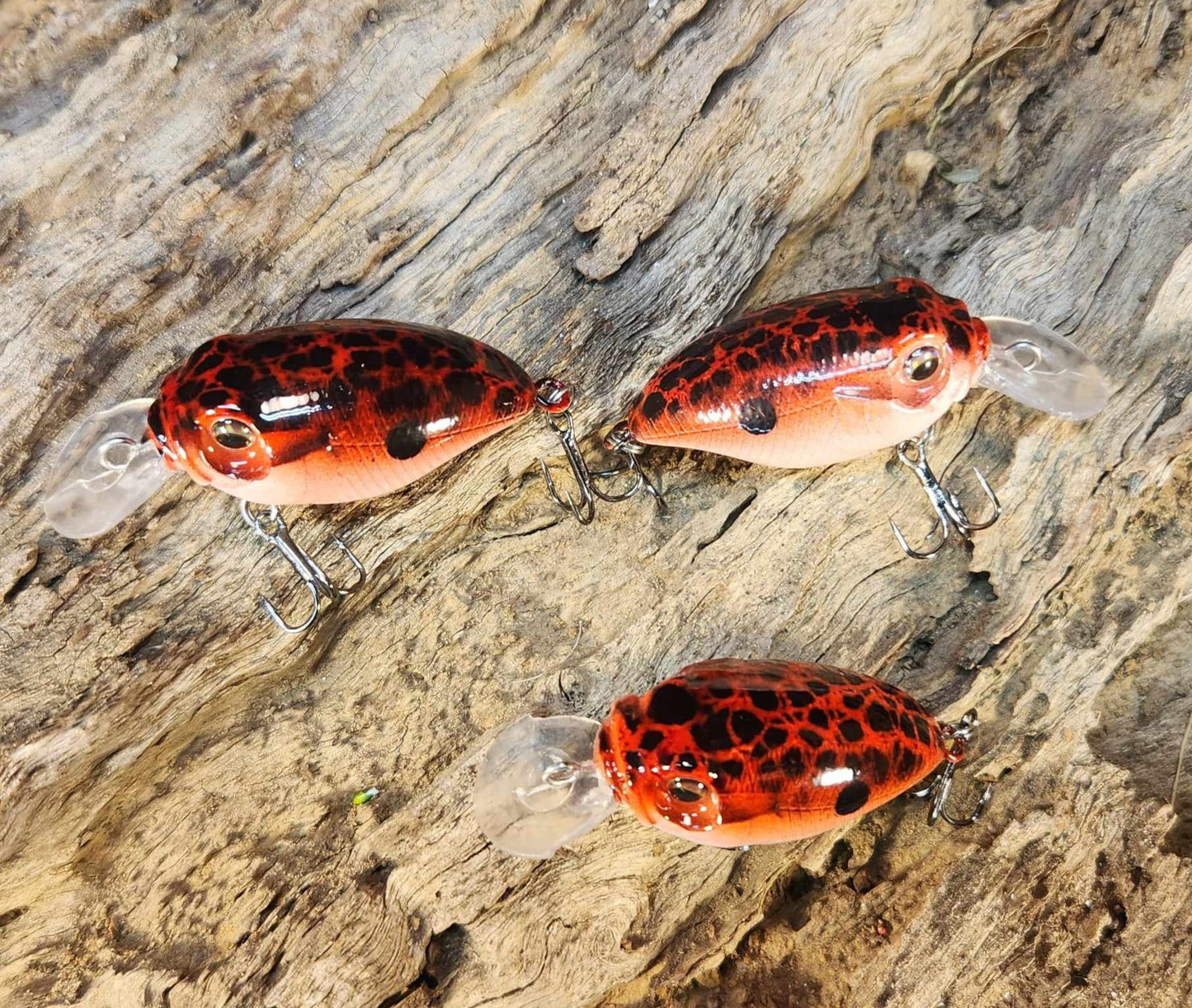 Megabass Griffon BFS ko