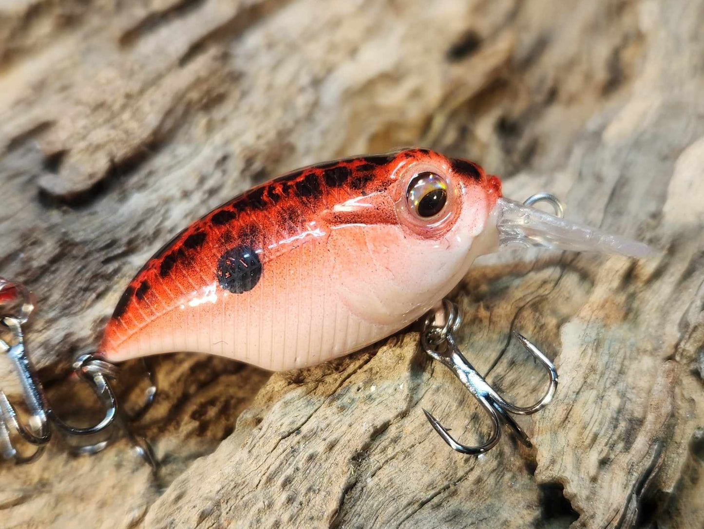 Megabass Griffon BFS ko