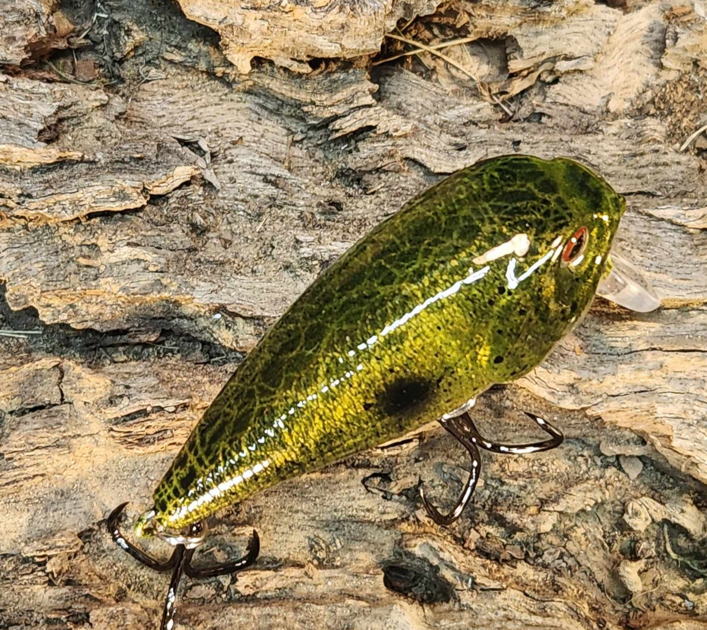 Twelve Oaks Signature Wake