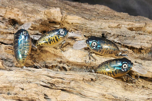 Megabass Griffon BFS ko