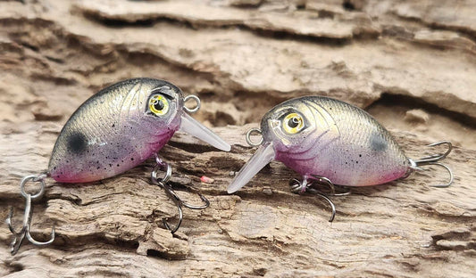 Mini Bubble Wake BFS