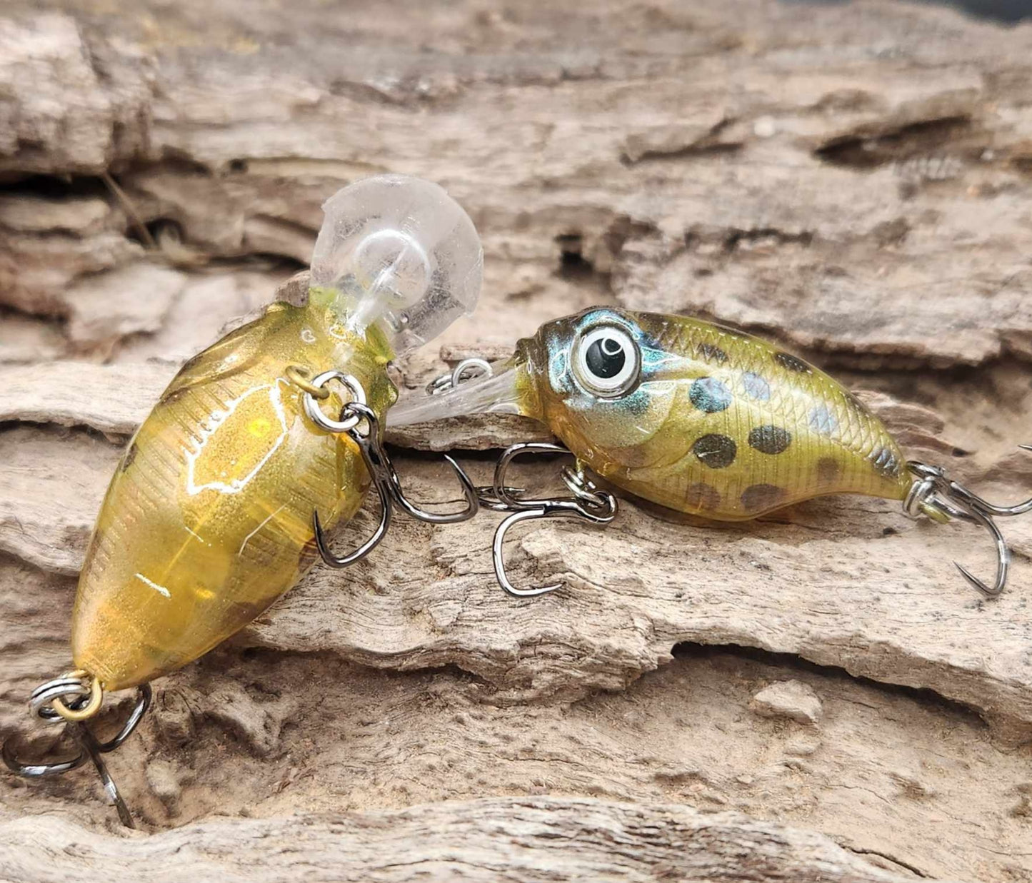 Megabass Griffon BFS ko