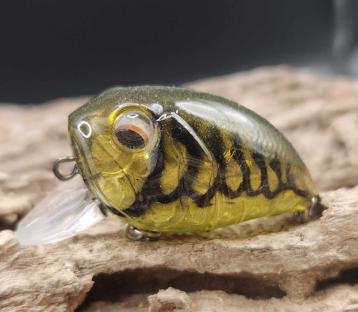 Chubby Crankbait/Wakebait BFS