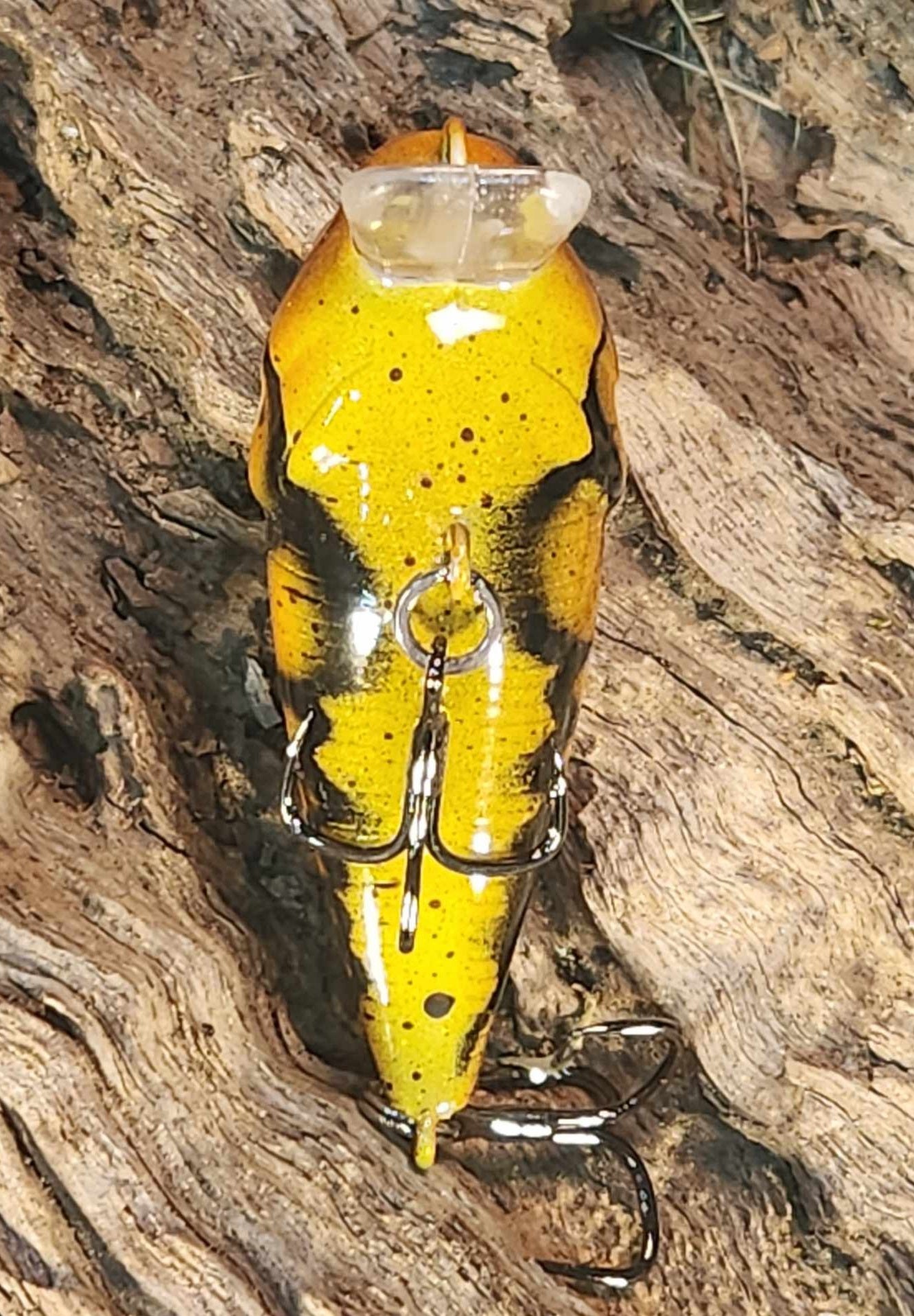 Twelve Oaks Signature Wake