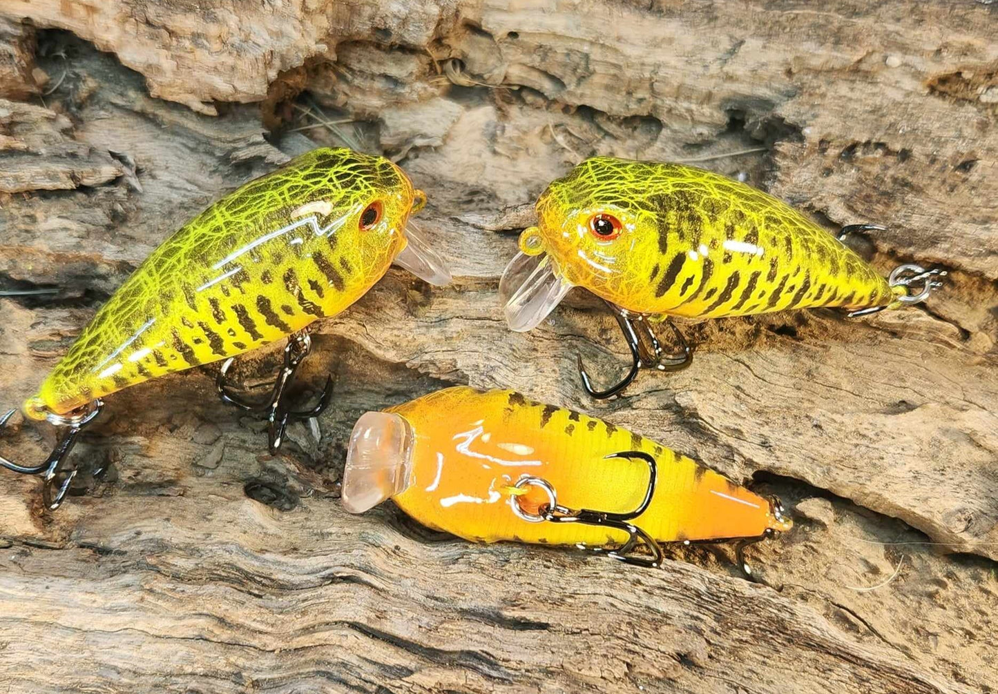 Twelve Oaks Signature Wake