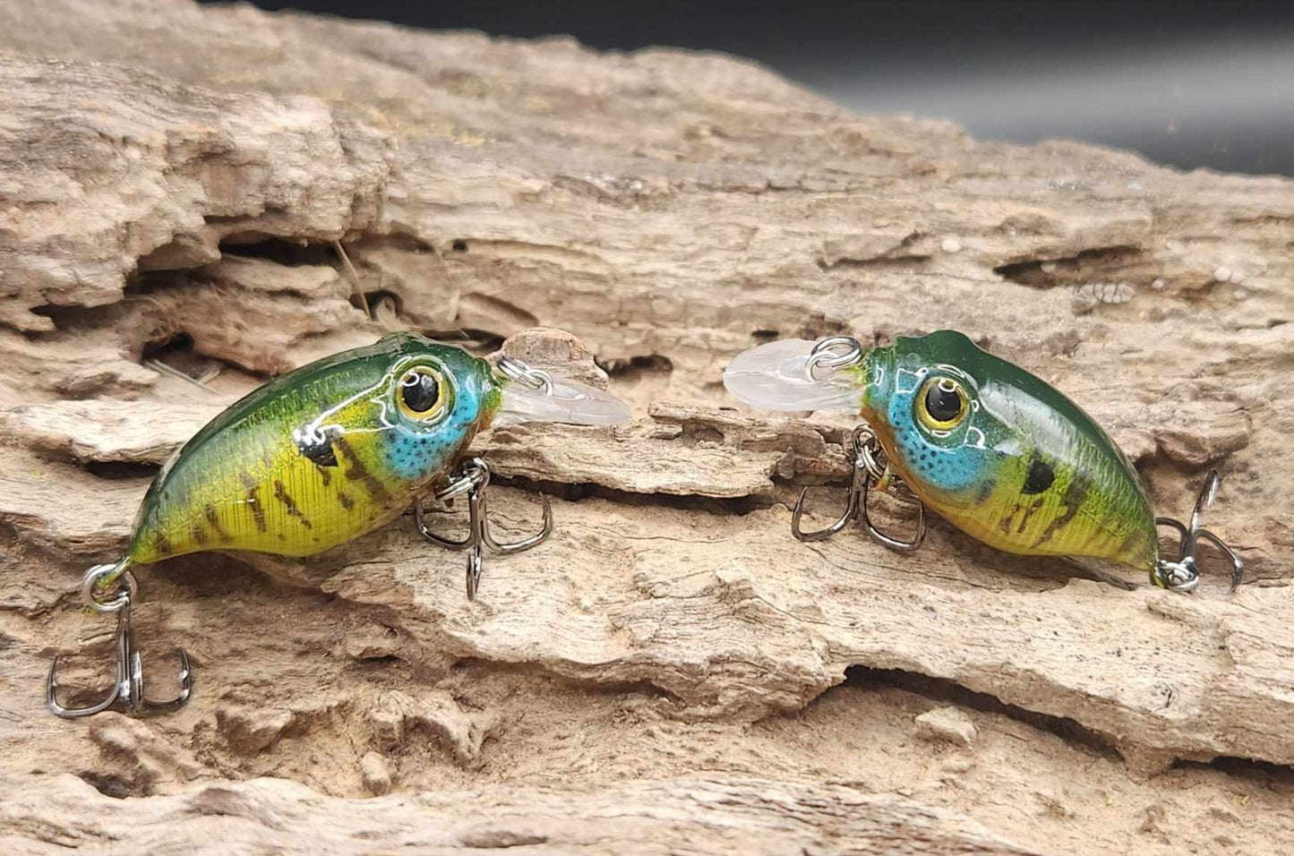 Megabass Griffon BFS