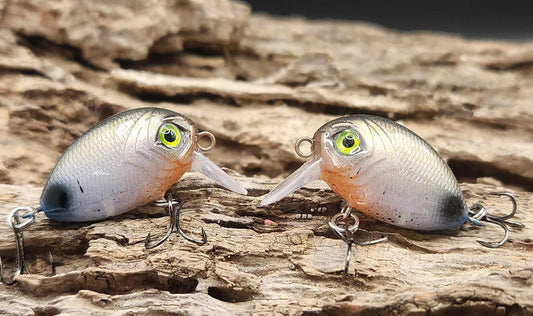 Mini Bubble Wake BFS