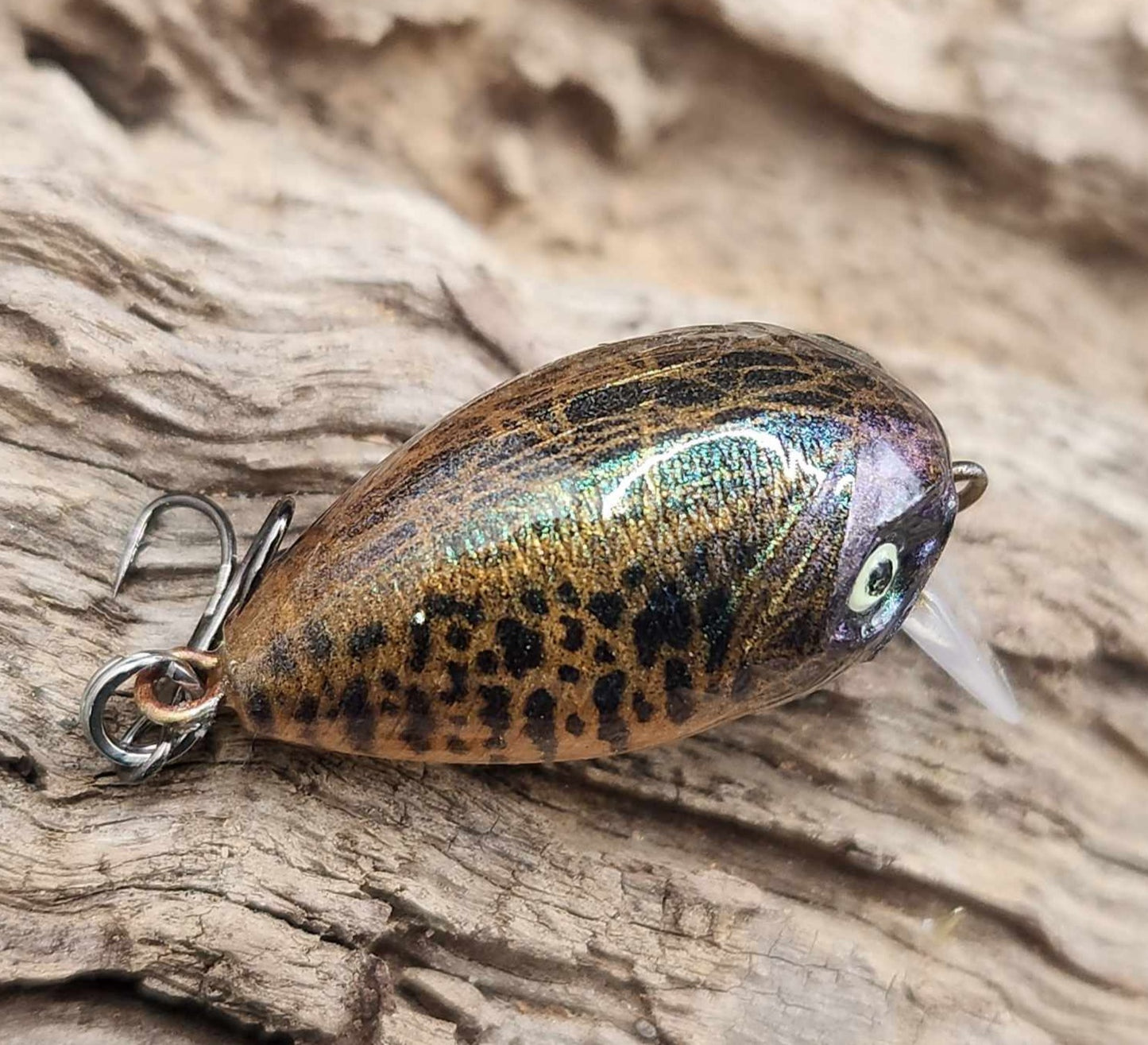 Mini Bubble Wake BFS