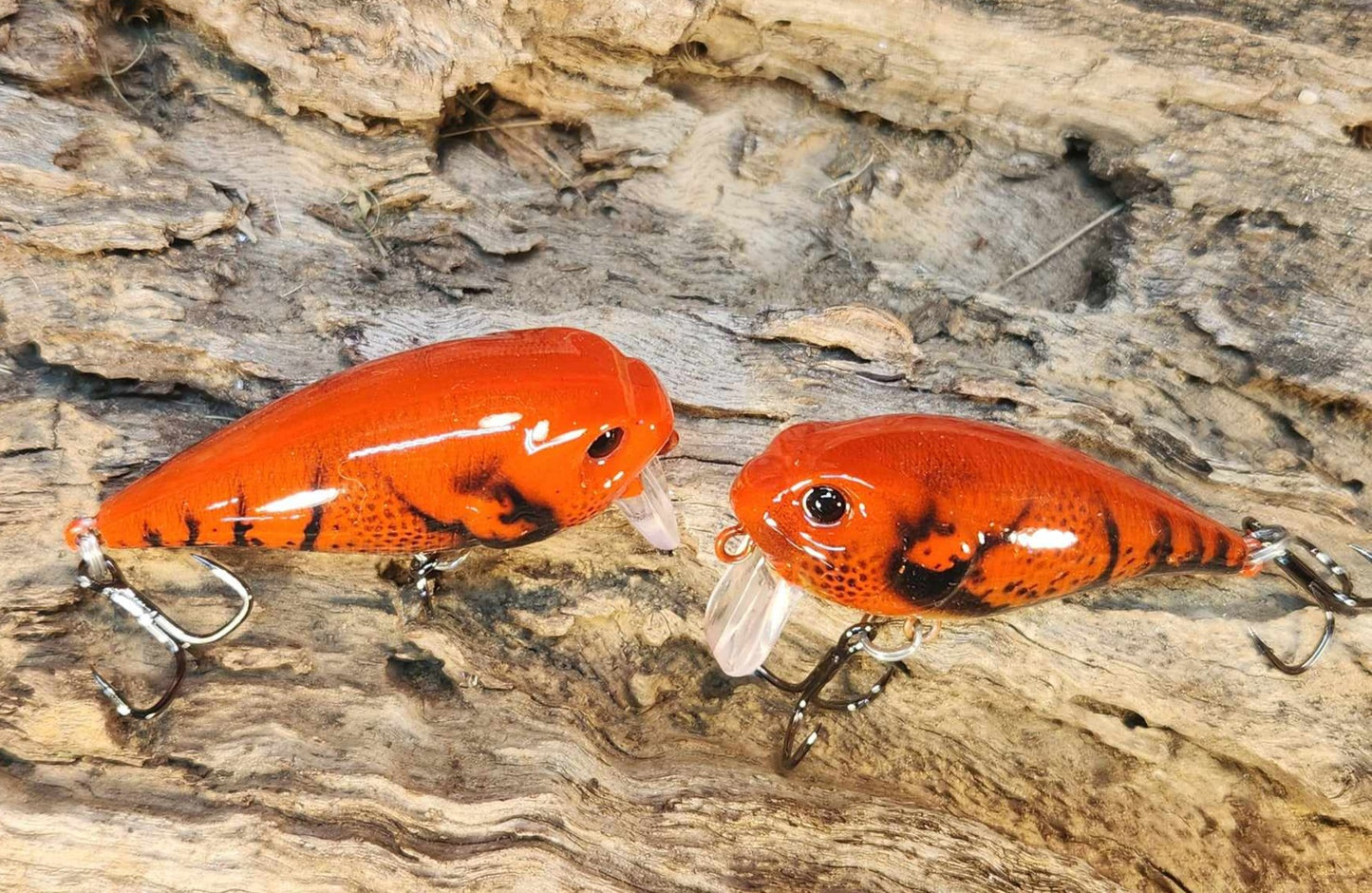 Twelve Oaks Signature Wake