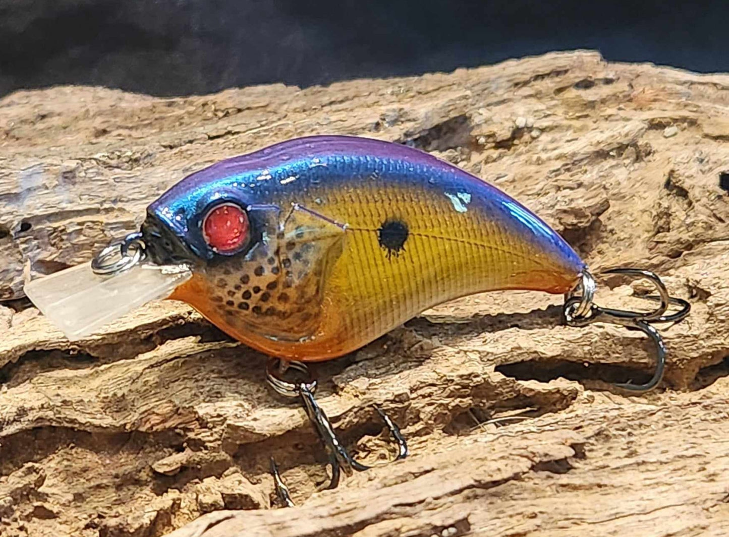 Megabass Sonicside ko. Clearance