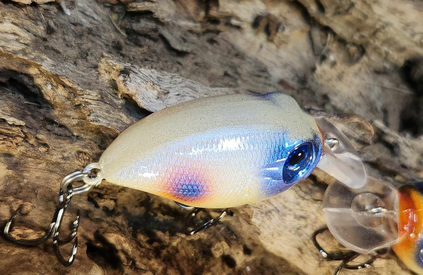 Megabass Griffon ko