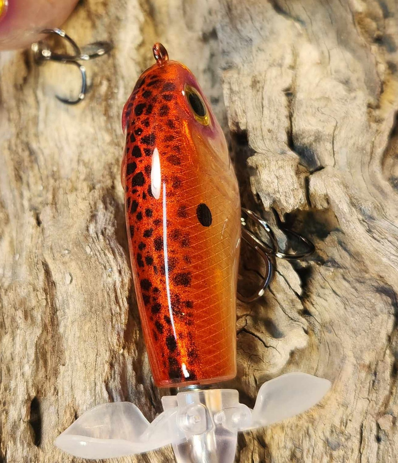 JDM Luxxe Avenge Prop 80