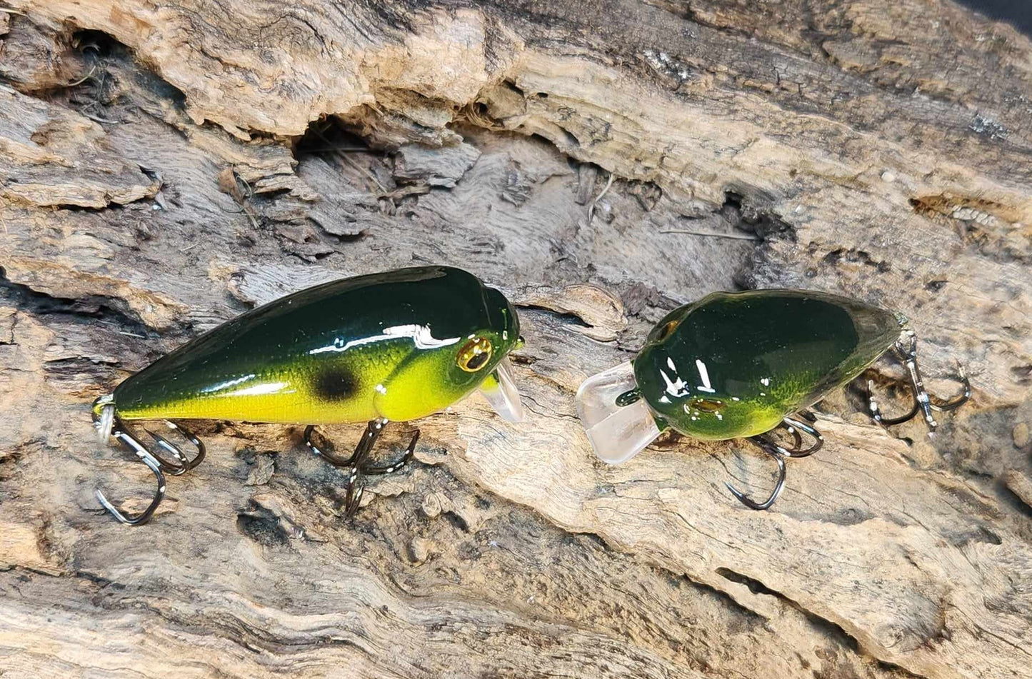 Twelve Oaks Signature Wake