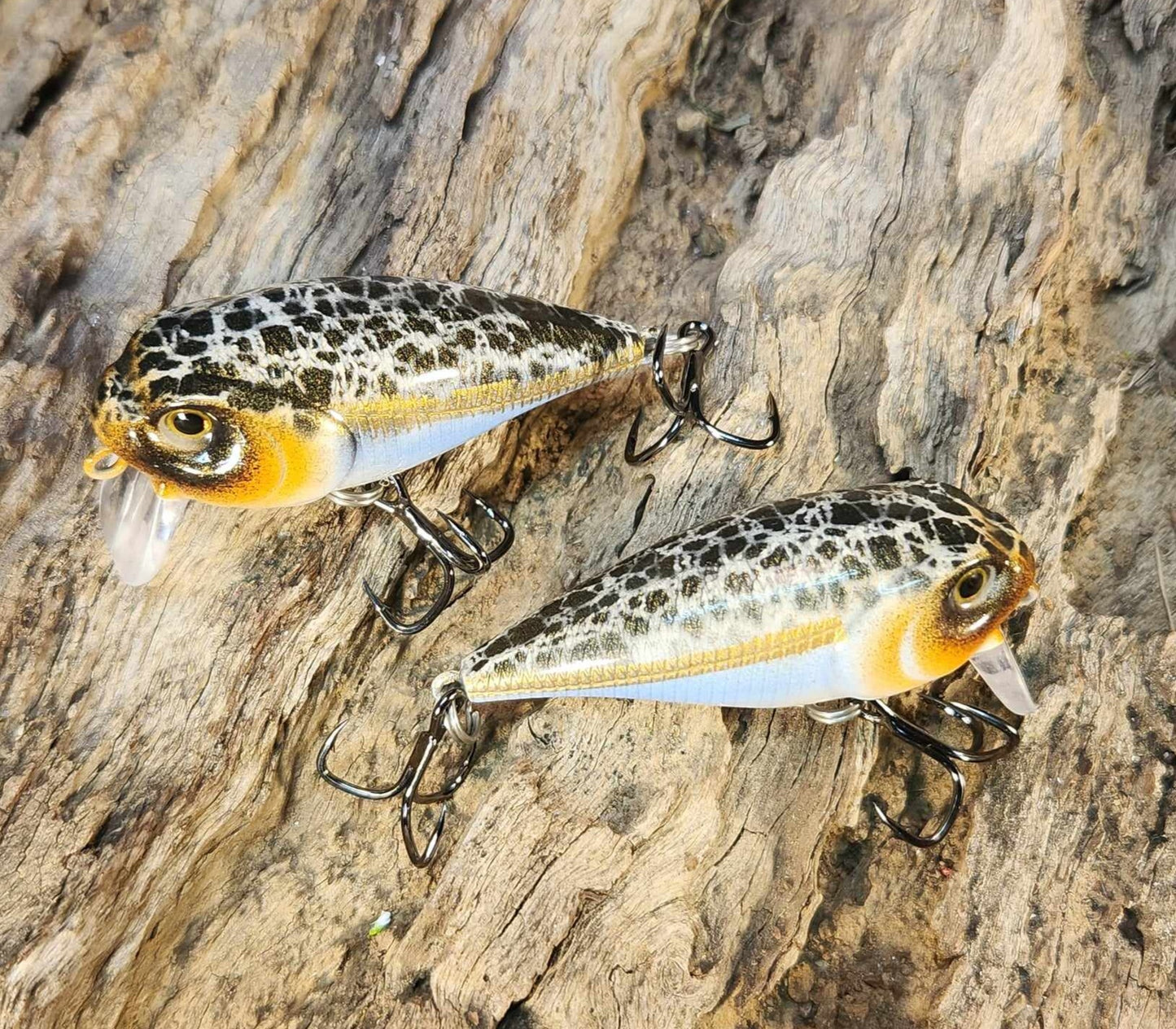 Twelve Oaks Signature Wake