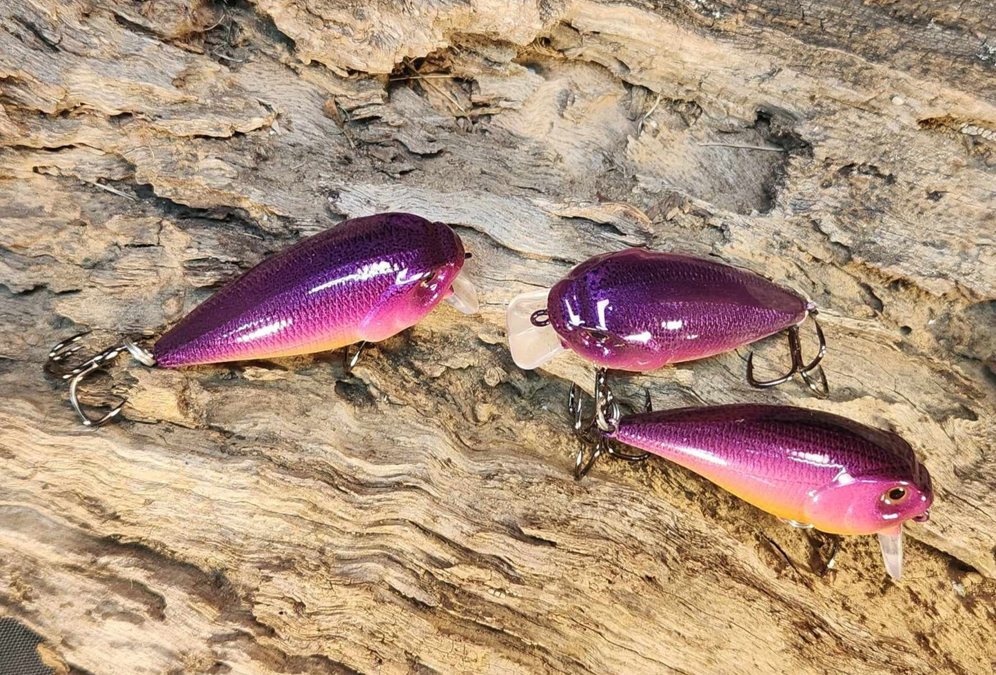 Twelve Oaks Signature Wake