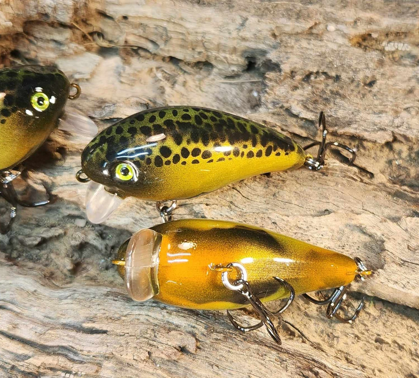 Mann's Baby 1 Minus ko