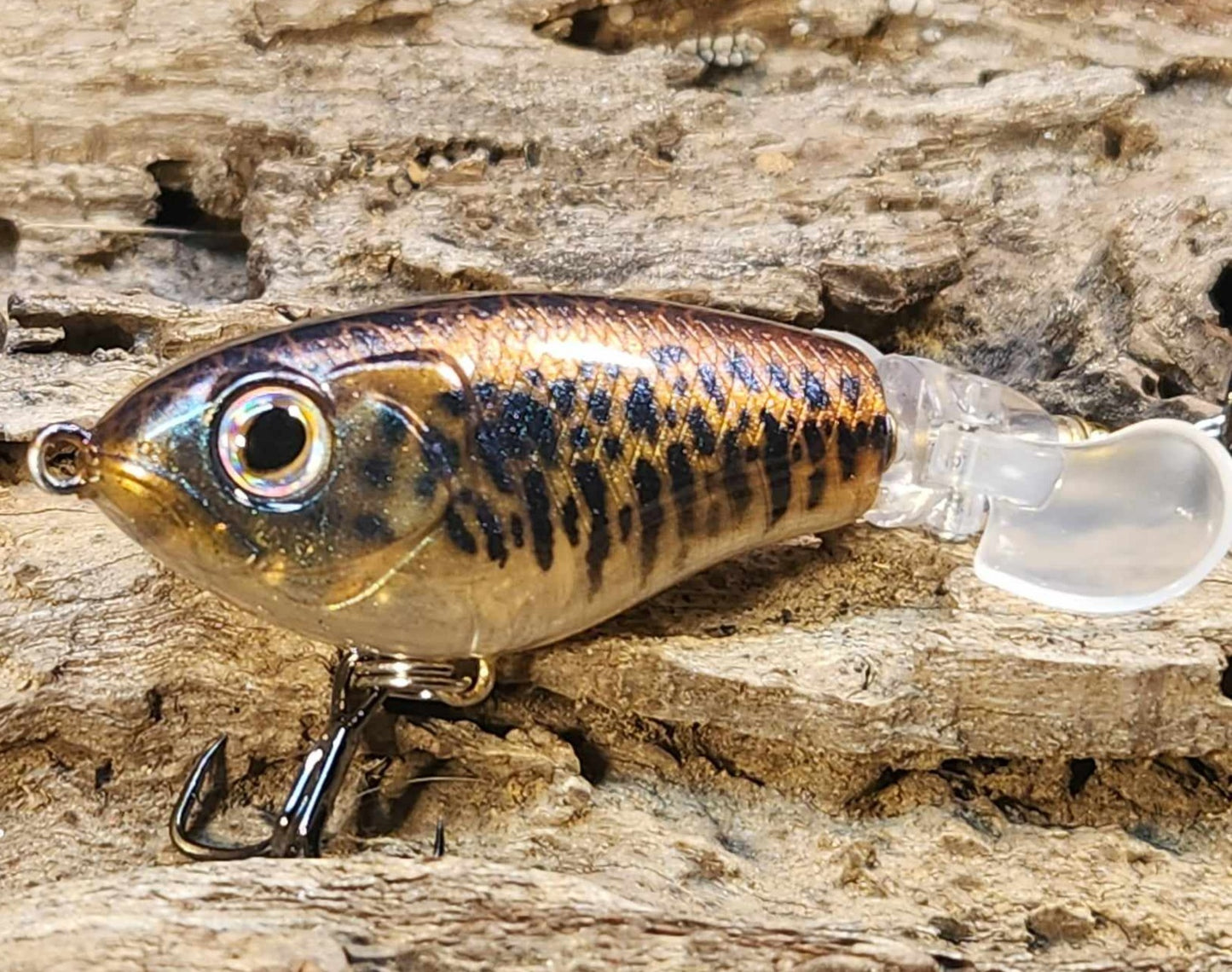 JDM Luxxe Avenge Prop 80